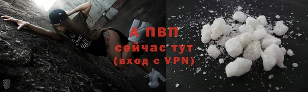 СК Алексин