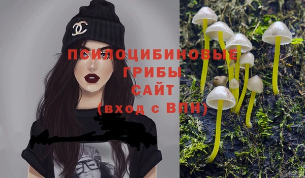 соль курить ск Пересвет