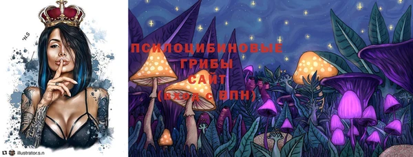 СК Алексеевка