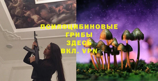 СК Алексин