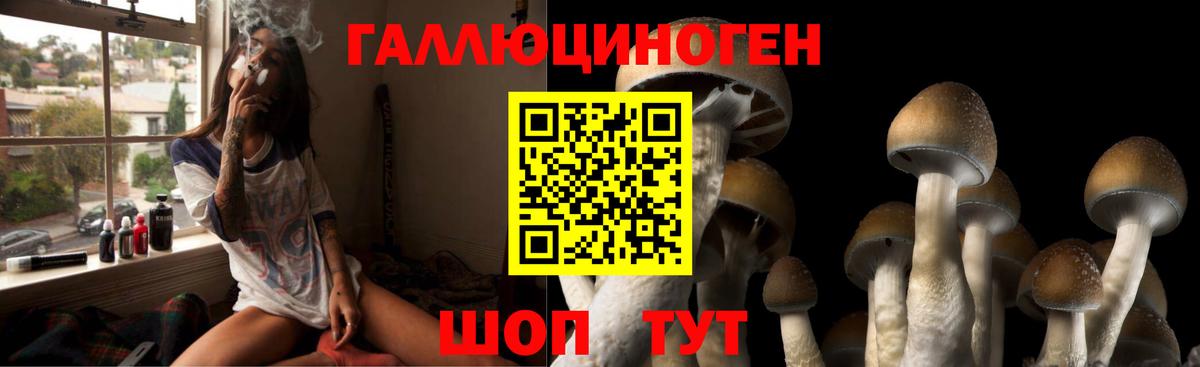 Обнинск  Псилоцибиновые грибы ЛСД  Вход с VPN 